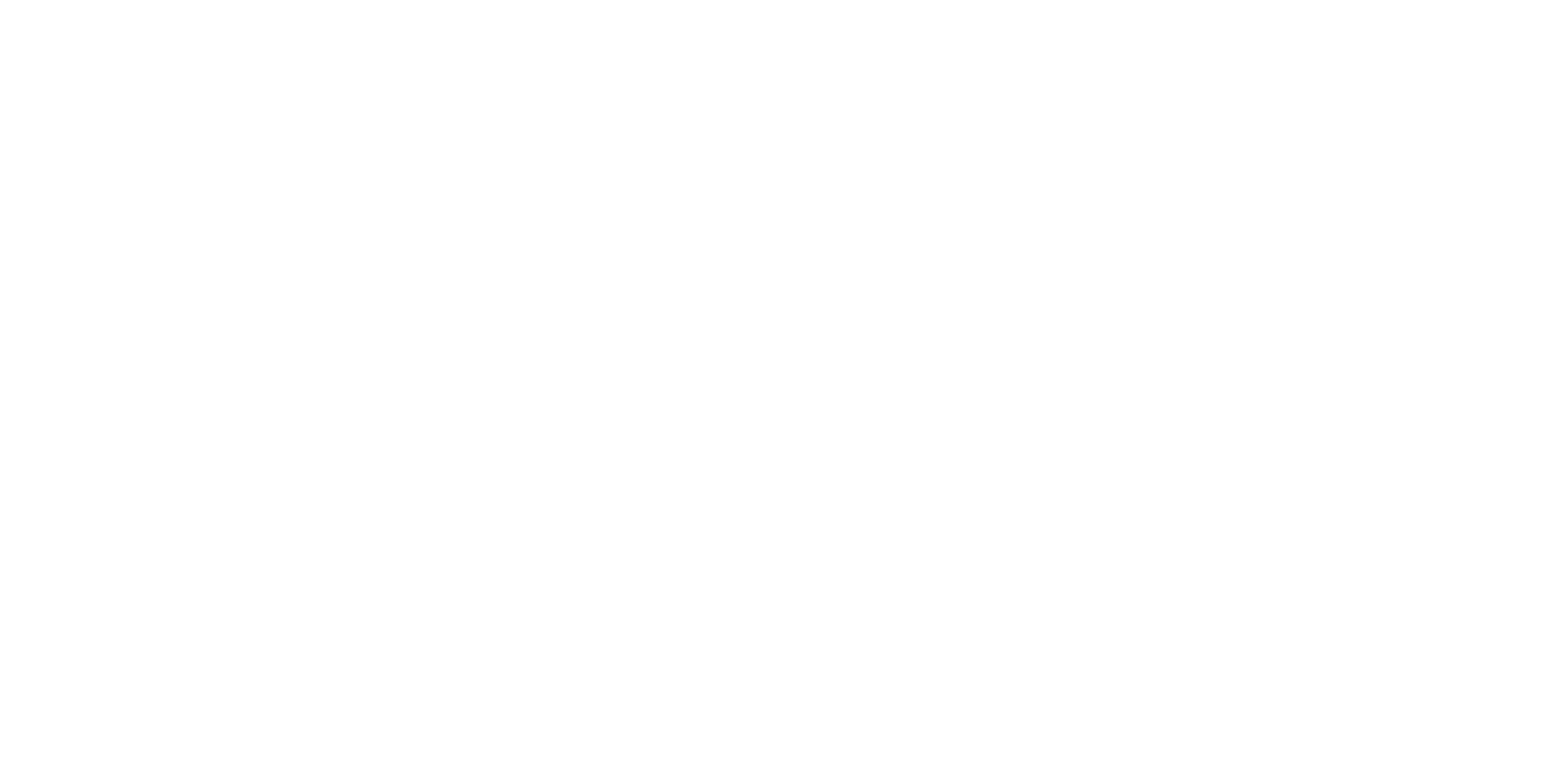 Logo blanc - Centre Pneu Lévis